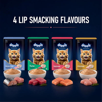 Drools Adult Cat Wet Mousse 80g Pack of 5, 400g | Salmon Flavour | Rich in Protein | Promotes Hydration & Easy to Digest | No Artificial Flavours | Packed with Essential Vitamins & Antioxidants
