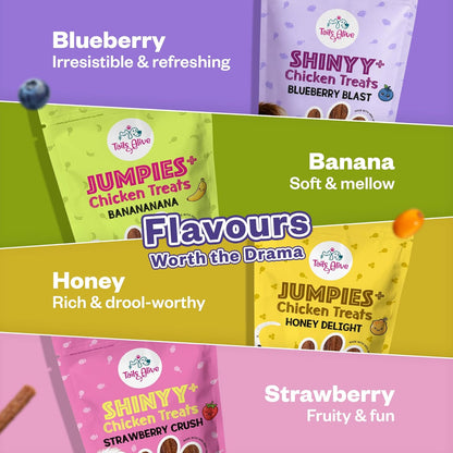 TailsAlive Jumpies+ Treats for Dogs | Joint & Mobility Support | No Added Sugar | Ashwagandha, Green-Lipped Mussel & Boswellia | Honey Delight | 100g