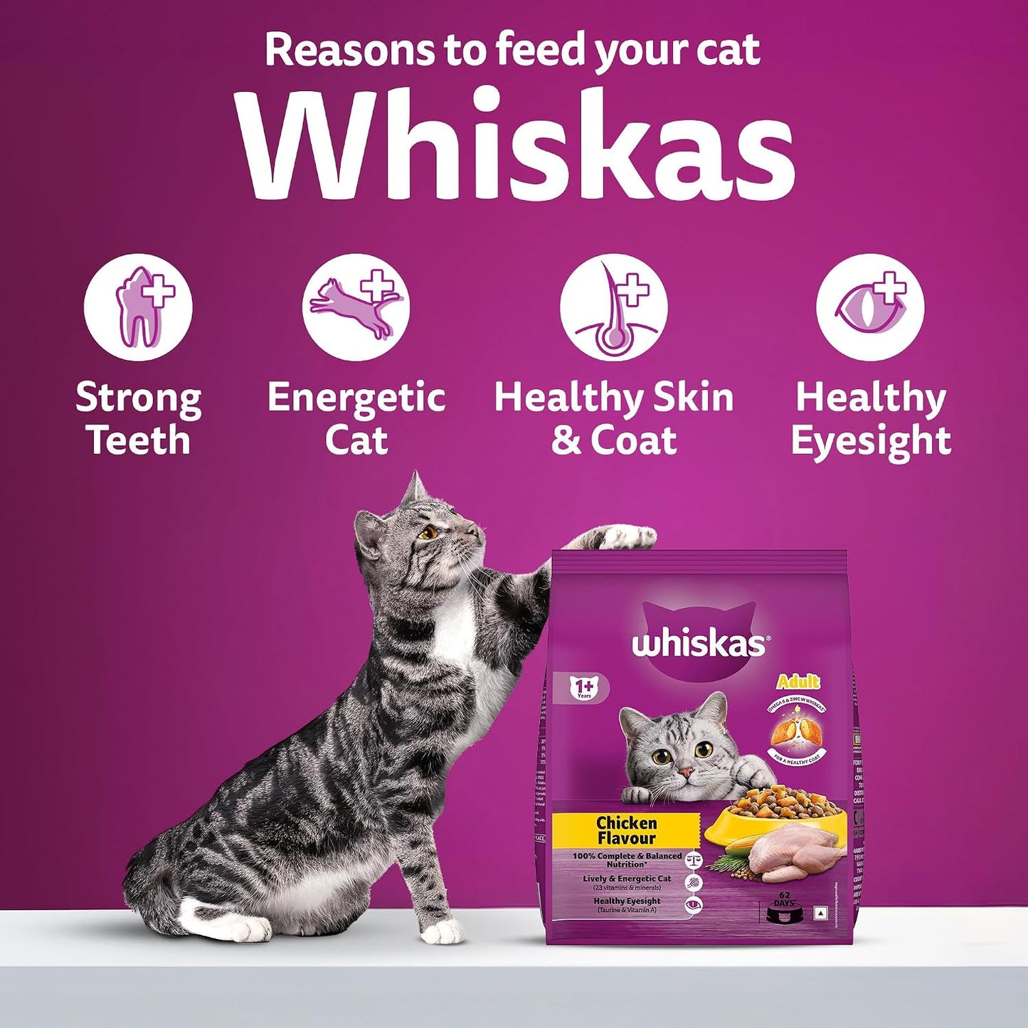 Whiskas Adult Dry Cat Food Chicken Flavour 1.2kg, Complete & Balanced Meal
