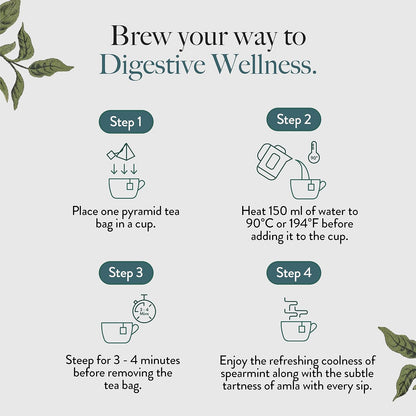 Wellbeing Nutrition Digest Green Tea | Digestive Tea with Probiotics, Digestive Enzymes, 8 Billion CFU & Fennel Seeds for better Digestion, Bloating, Gas and Acidity relief (40 Pyramid Tea Bags)
