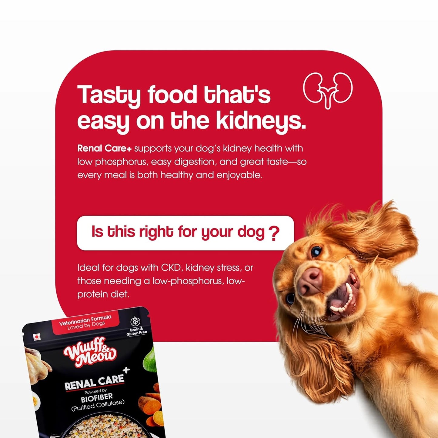 Wuuff&Meow Dog Renal Care Gently Cooked Functional Dog Food | Kidney Supported & Vet-Formulated Therapeutic Renal Diet for Dogs Powered by Arbocel® Plant-Based Functional BioFiber (100 g (Pack of 1))