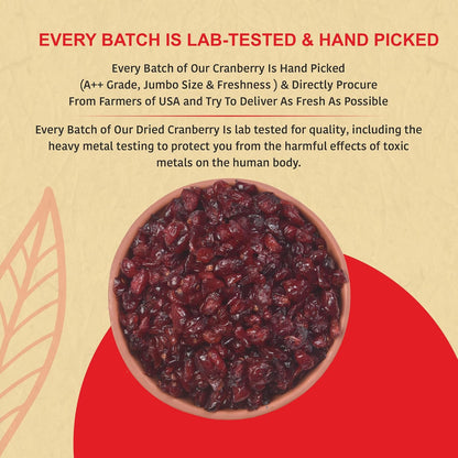NUTTY ORGANICS Cranberry 180 GM | Dry Fruit & Berries | High in Nutrients & Antioxidants | Healthy & Nutritious Snack | Perfect for Salads & Baking