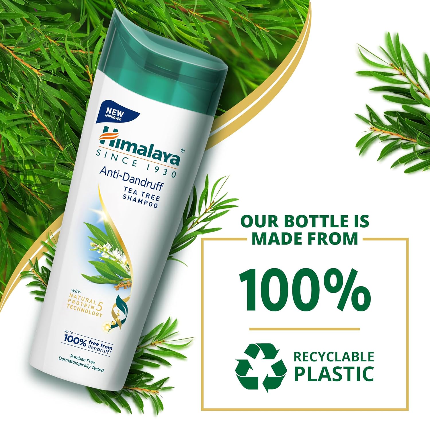 Himalaya Anti-Dandruff Tea Tree Shampoo bottle with green leaves on a white background