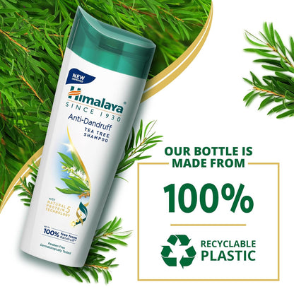 Himalaya Anti-Dandruff Tea Tree Shampoo bottle with green leaves on a white background