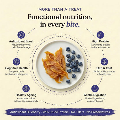 Whisker and Wilde Dehydrated Chicken Jerky | Dog Treats | Antioxidant Boost with Blueberry | Dental Chew | Training and Reward | Human-Grade | No Preservatives | 70g