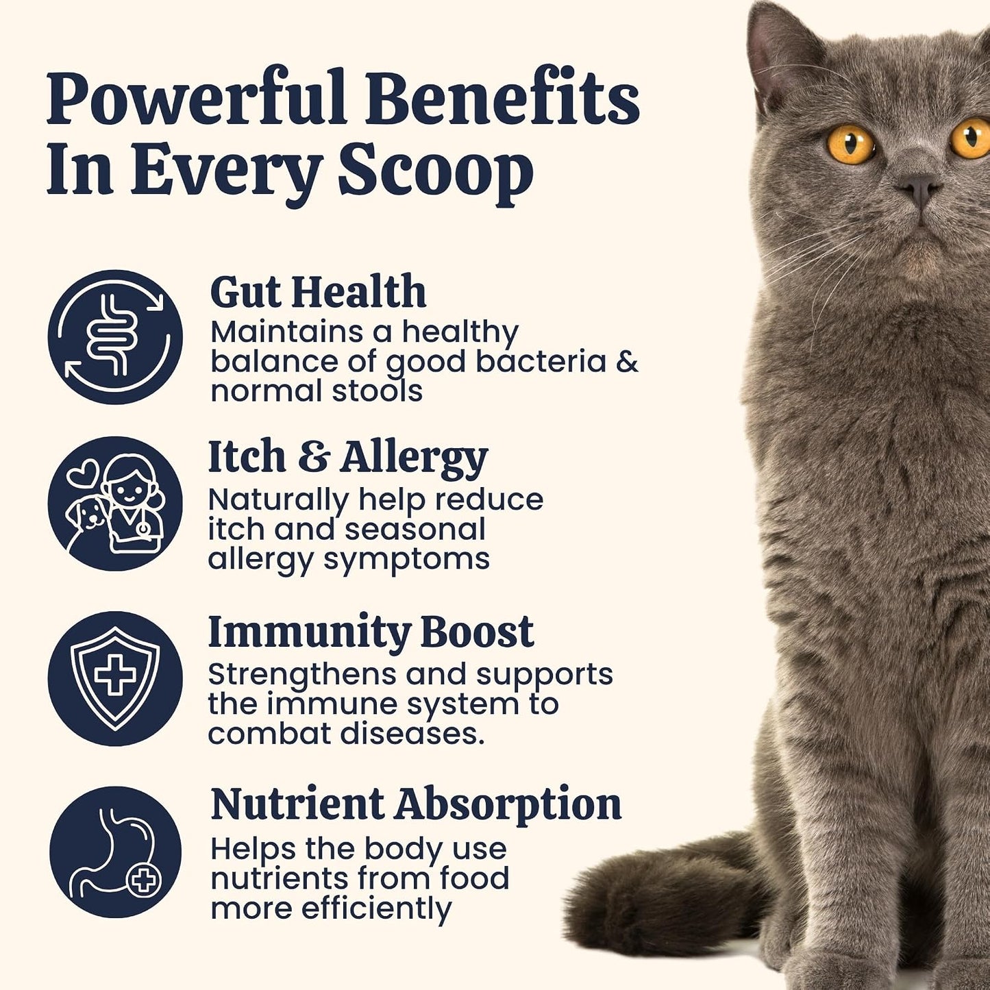My Fur Child Advanced Digestive Formula for Cats | 3.2Bn CFU/Scoop, 9-Strain Probiotics, Prebiotics, Digestive Enzymes & Herbs | Gut Health, Immunity & Digestive Support | Lasts Up to 50 Days for Adult Cat