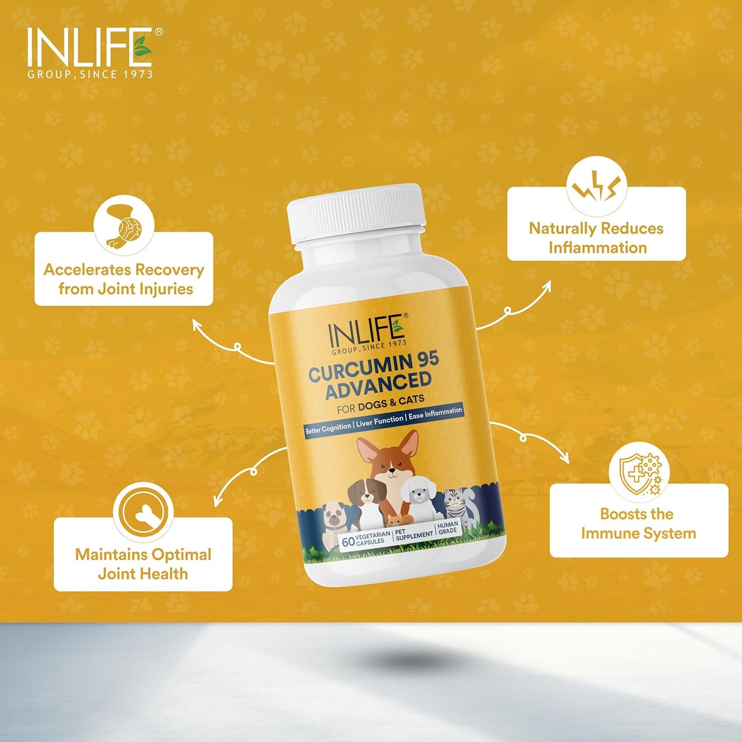 INLIFE Curcumin with Piperine for Dogs Cats and Pets 95% Curcuminoids for Immunity Liver Function and Ease Inflammation- 60 Vegetarian Capsules