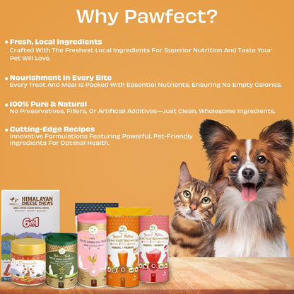Pawfect Yogurt Melties Freeze Dried Pre and Probiotic Dog Treats with Carrot, Flaxseed, Pea & Sweet Potato - Healthy Gut - Low Calories - Grain & Gluten Free - Reward or Training Treats (38g/1.34oz)