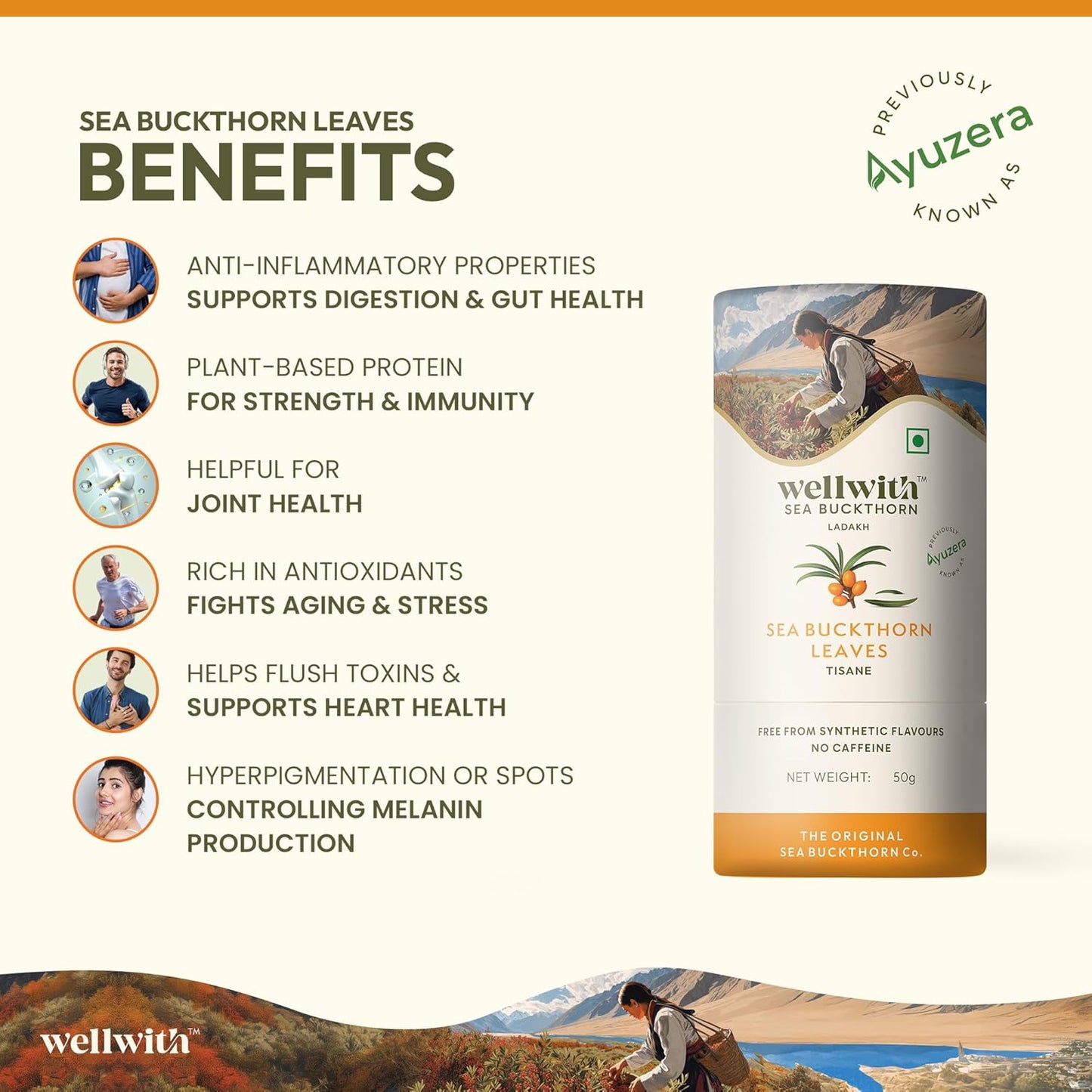 Wellwith by Ayuzera Sea Buckthorn Raw Leaves Tea, Good For Skin and Immunity, For a Healthy Lifestyle - Himalayan Herbal Tea - Pure & Natural (250g)