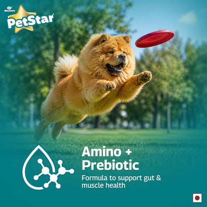 Petstar Adult Dry Dog Food 1 kg, Tuna & Rice Formula, High Protein, Easy Digestion, Immunity Support, No Artificial Flavours or Added Sugar