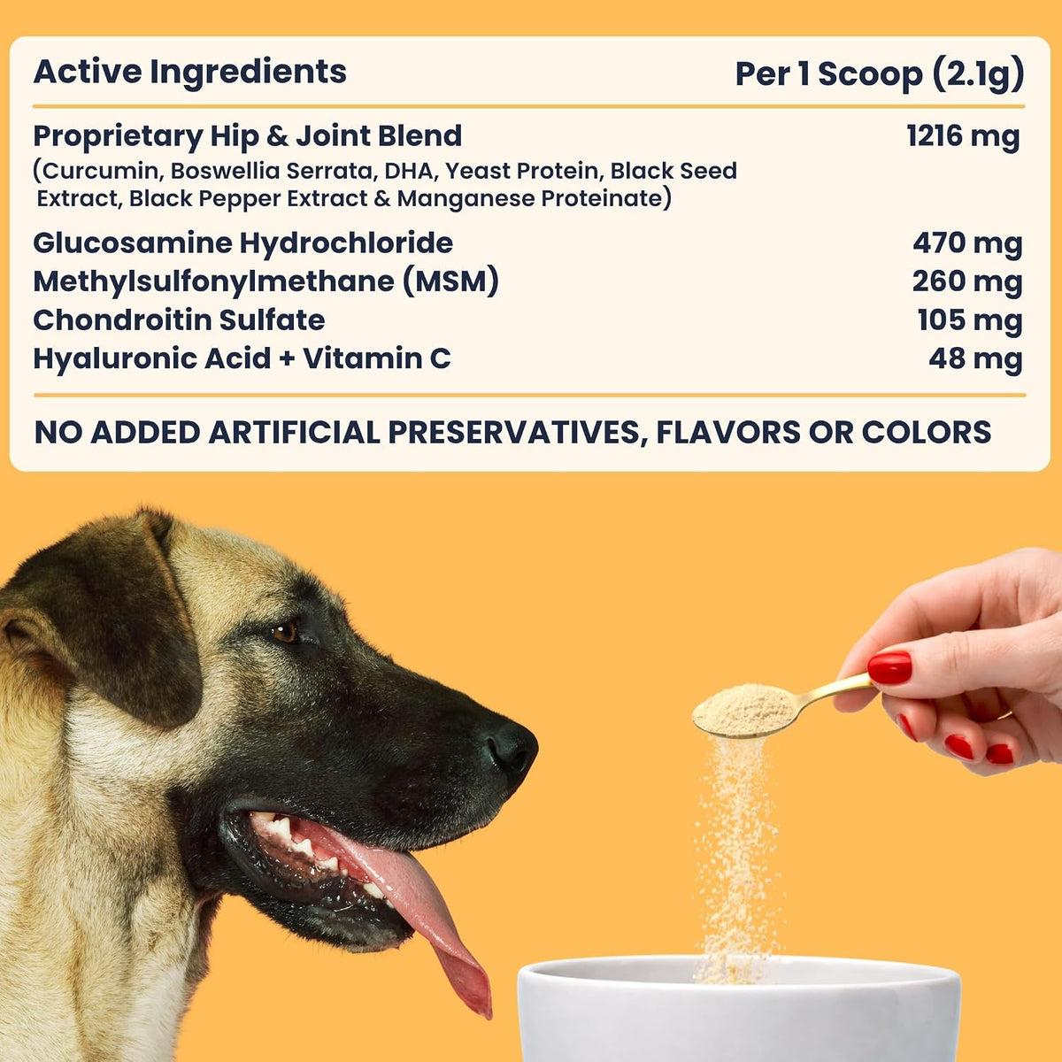 My Fur Child Advanced Hip & Joint Formula for Dogs | Promotes Joint Health, Mobility & Comfort | MSM, Glucosamine, Chondroitin, Curcumin, Hyaluronic Acid and More | Lasts up to 60 Days