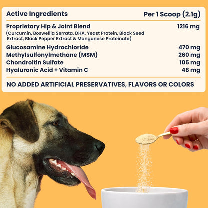 My Fur Child Advanced Hip & Joint Formula for Dogs | Promotes Joint Health, Mobility & Comfort | MSM, Glucosamine, Chondroitin, Curcumin, Hyaluronic Acid and More | Lasts up to 60 Days