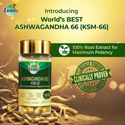 Zandu Ashwagandha KSM-66 (600 mg high dose formula) Tablets | Clinically Proven for 72% Decrease in stress and anxiety levels I Boosts Energy & Strength | 60 tablets I 100% Pure Root Extract