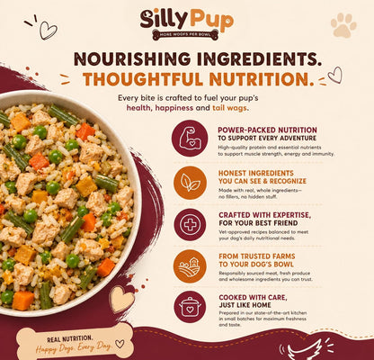 Silly Pup Chicken Rice with Vegetables Wet Dog Food | Amla, Flax Seeds, Turmeric, Ashwagandha & Pumpkin | No Sugar or Preservatives | Vet Crafted | All Breeds (1 Pouch, 100g)