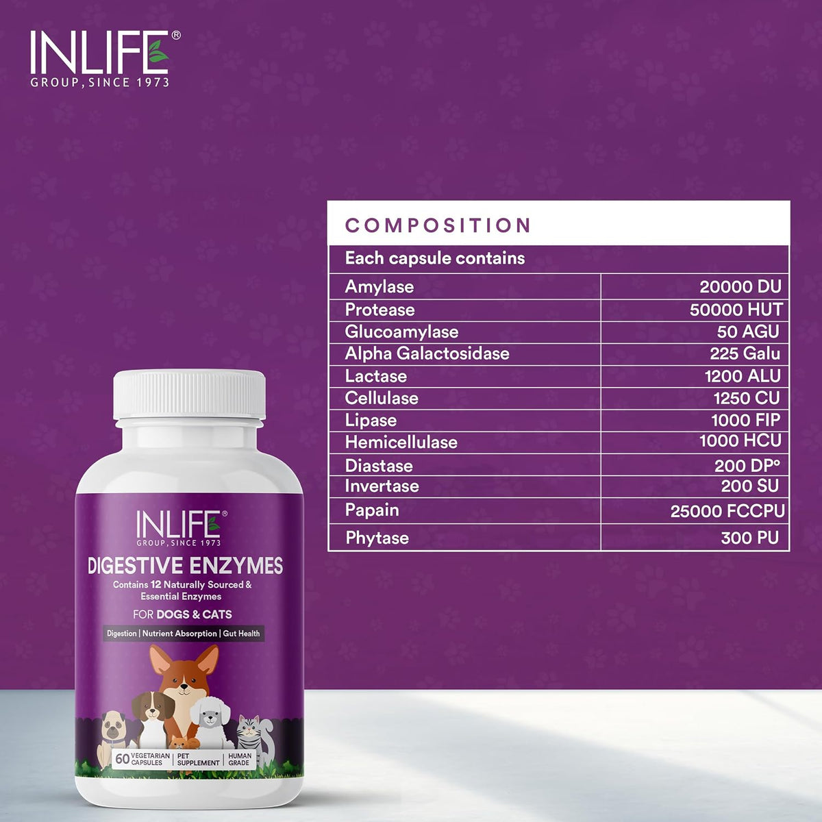 INLIFE Digestive Enzymes for Dogs Cats and Pets | Contains 12 Naturally Sourced & Essential Enzymes - 60 Vegetarian Capsules