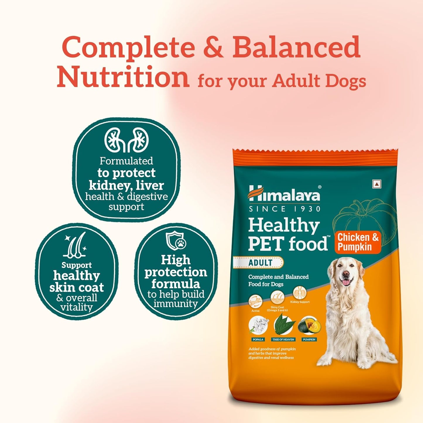 Himalaya Healthy PET Food for Adult Dogs | Chicken & Pumpkin | 1.2kg | Complete & Balanced Nutrition with Mountain Knot Grass, Tree of Heaven, Guduchi & Pumpkin