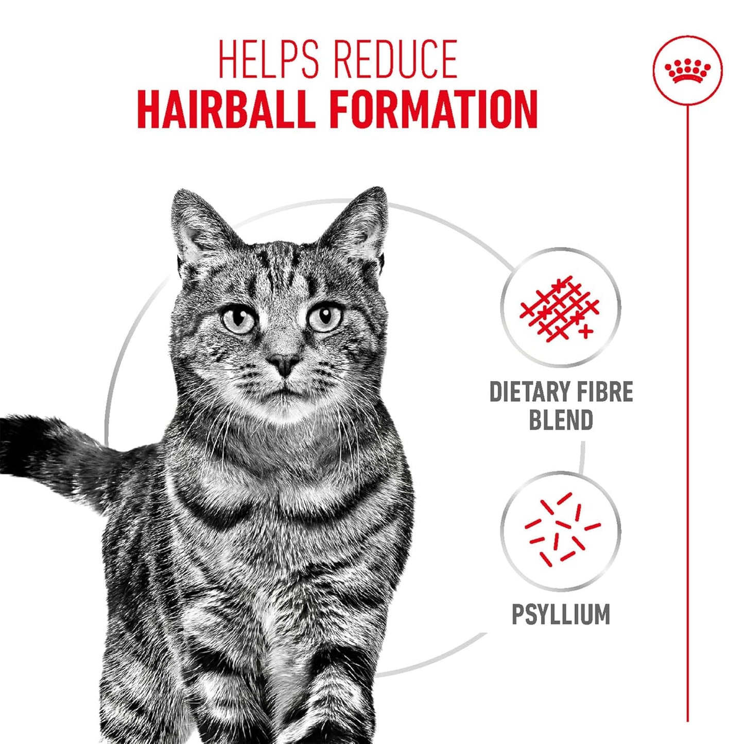 Royal Canin Hairball Care for Cats, 400 Grams, Dry Food, Dietary Fiber Blend, Provides 2X Hair Excretion, Proven Results in 14 Days