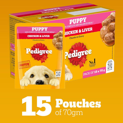 Pedigree Puppy Wet Dog Food, Chicken Chunks in Gravy, 70 g (Pack of 15), Complete & Balanced Meal for Puppies