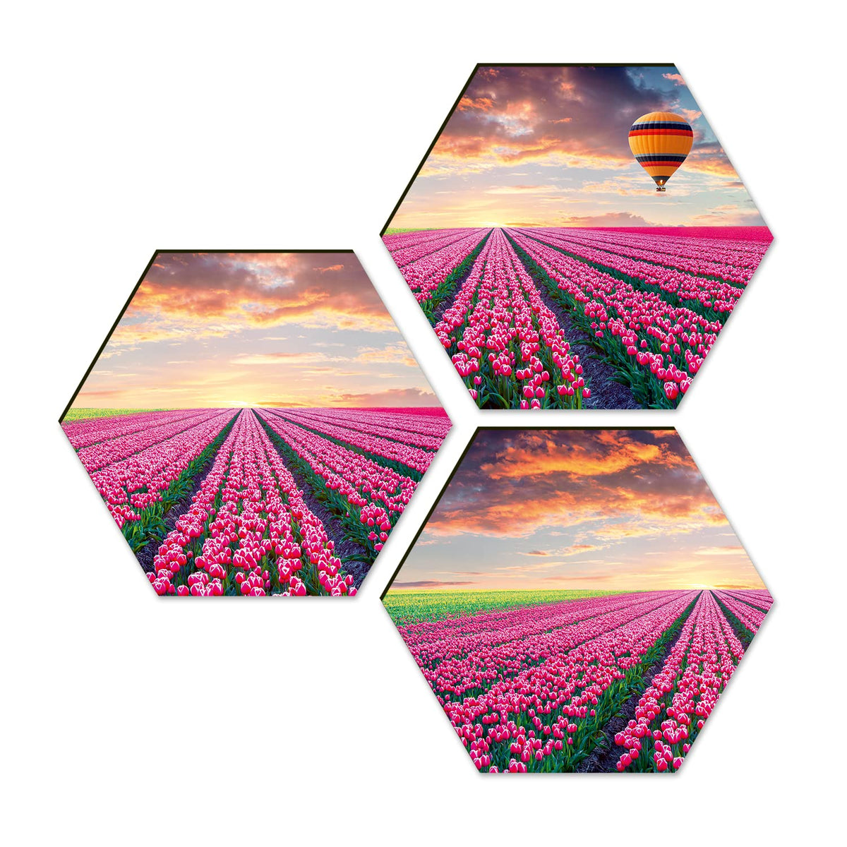 Floral Wall Painting For Living Room Hexagonal Set of 3 (D)