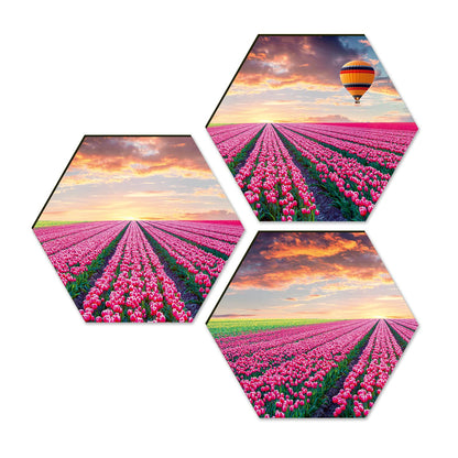 Floral Wall Painting For Living Room Hexagonal Set of 3 (D)