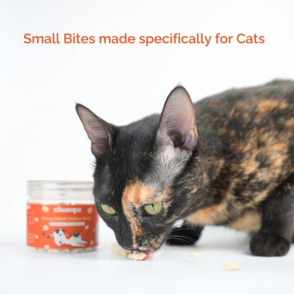 Chompz Freeze Dried Chicken Treats for Cats | 30gm Crunchy Treats | 100% Chicken Breast | for Kittens & Adult Cats | Single Ingredient & High Protein | Human Grade | Low Calorie | Grain & Gluten Free