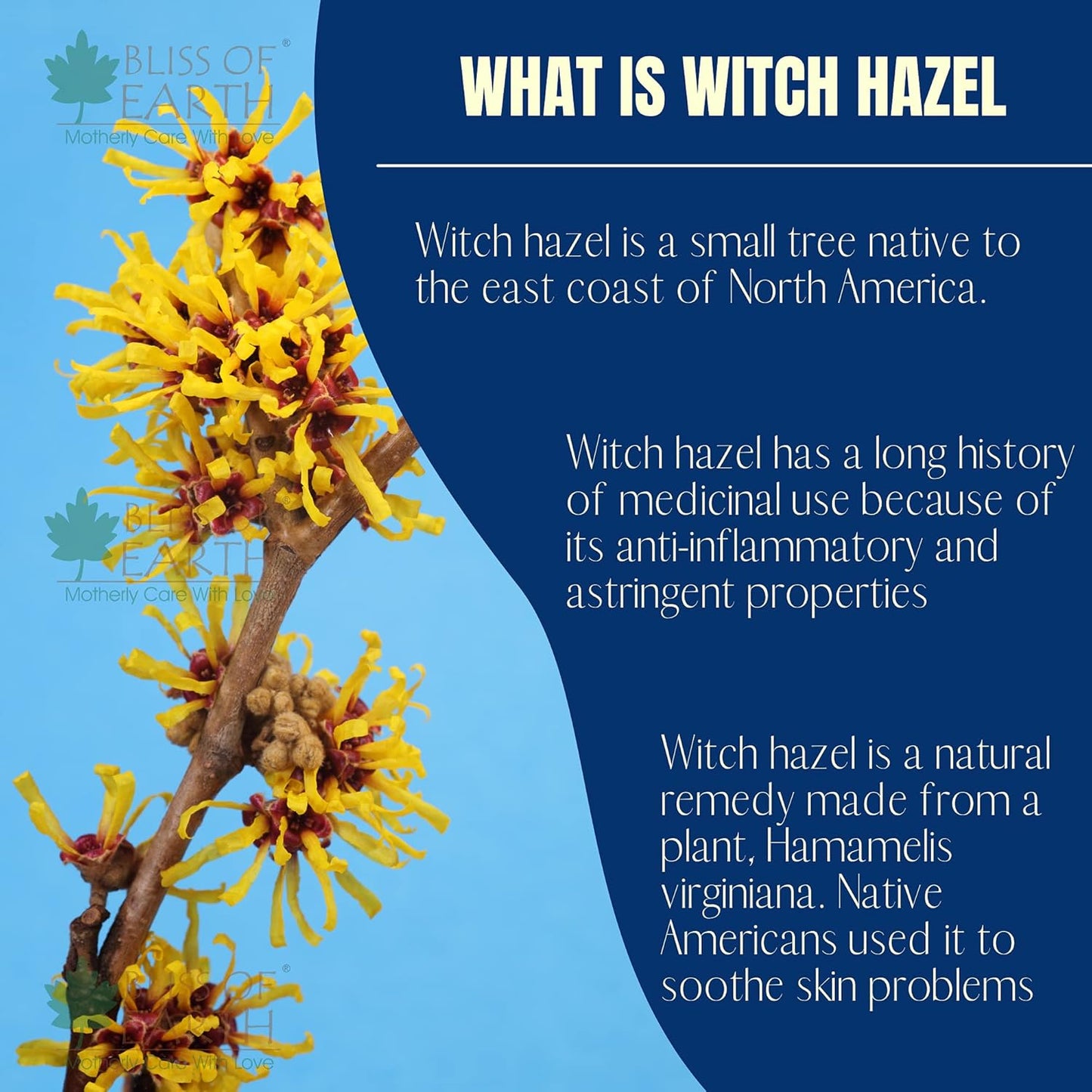 Bliss of Earth Witch Hazel Toner For Face, Acne & Oily Skin, Natural Pore Minimizer, Alcohol Free Facial Astringent, 100ml