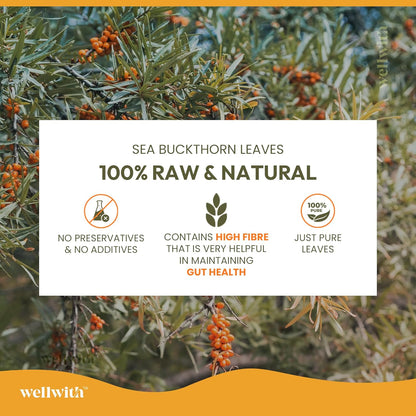 Wellwith by Ayuzera Sea Buckthorn Raw Leaves Tea, Good For Skin and Immunity, For a Healthy Lifestyle - Himalayan Herbal Tea - Pure & Natural (250g)