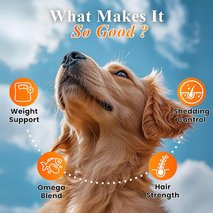 Petroyale Furpro-40 Dogs Protein Powder Supplement - Dog Skin & Coat + Hair Fall Control Supplement- Omega 3 6 9 for Dogs & Cats - Dog Muscle & Weight Gain Powder - Growth Food - Fish Flavor - 400g