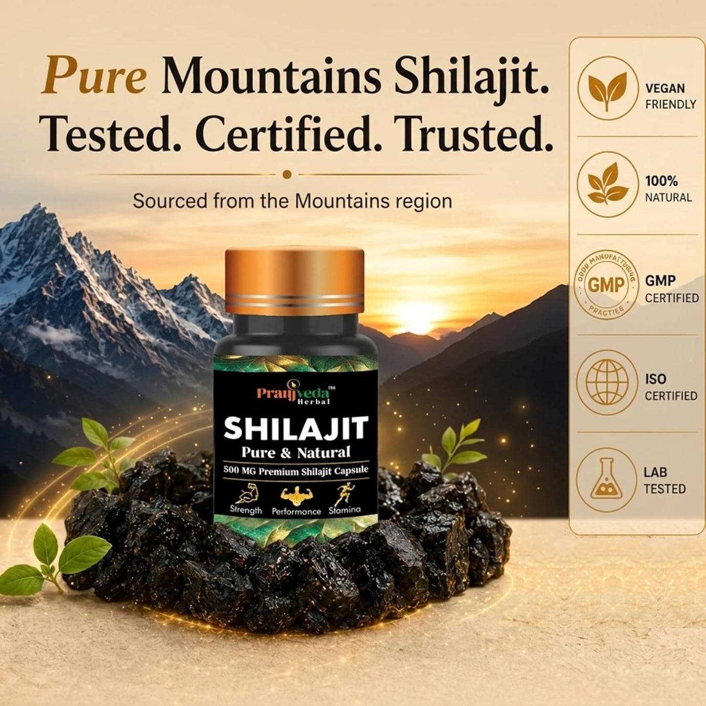 PRANJVEDA HERBAL Shilajit 60 Capsules Fulvic Acid Supplement, Natural Energy, Endurance Booster, Mineral-Rich Herbal Formula, Pack of 1