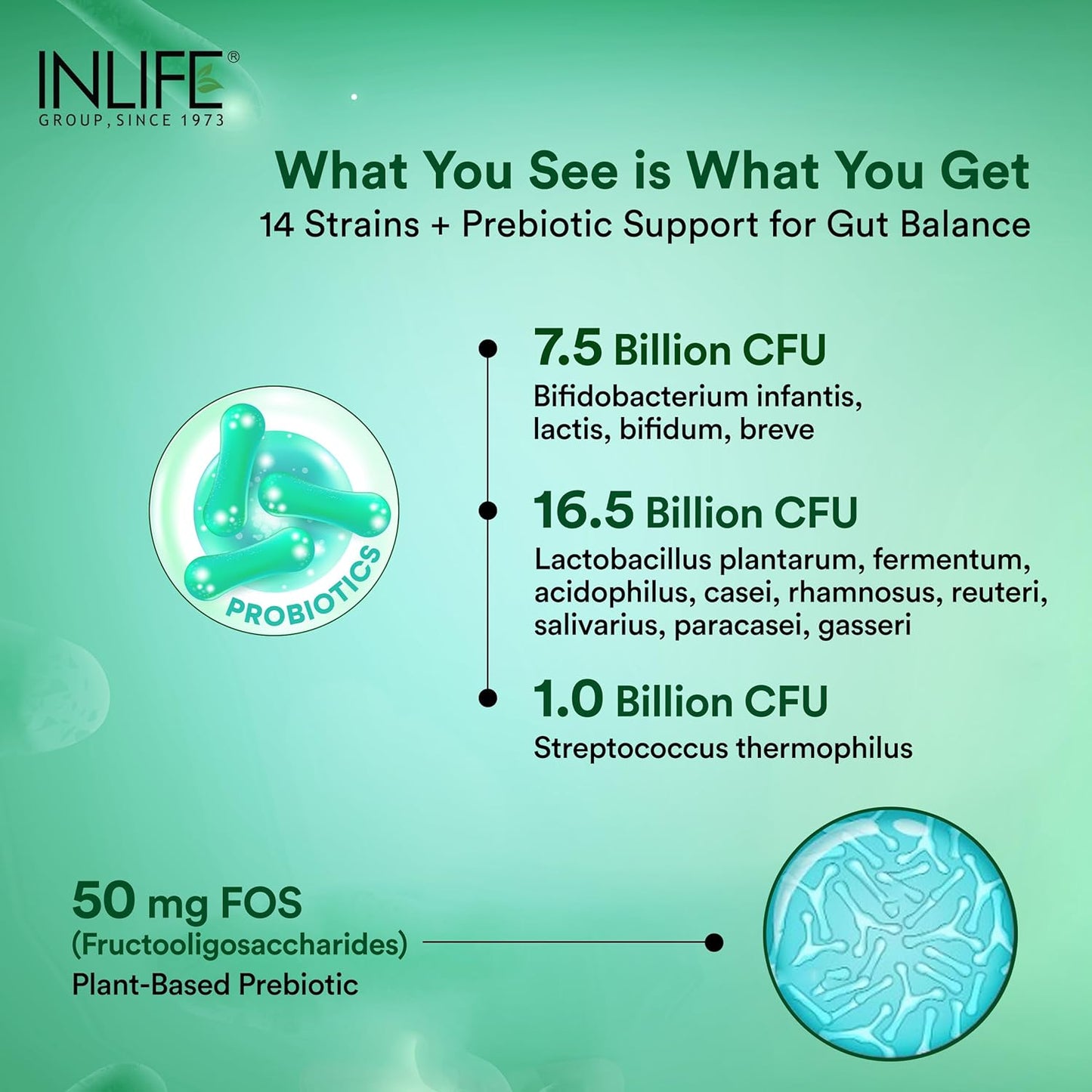 INLIFE probiotic product description with CFU count and prebiotic information on a green background