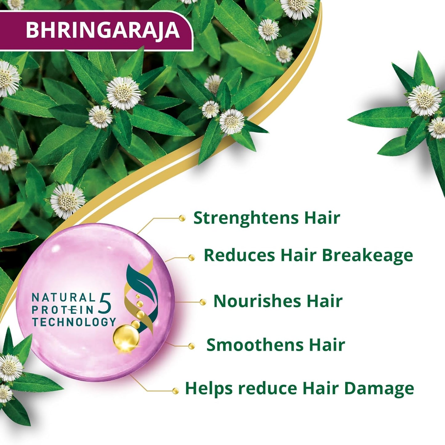 Bhringaraja hair care product with green leaves and flowers, highlighting its benefits.