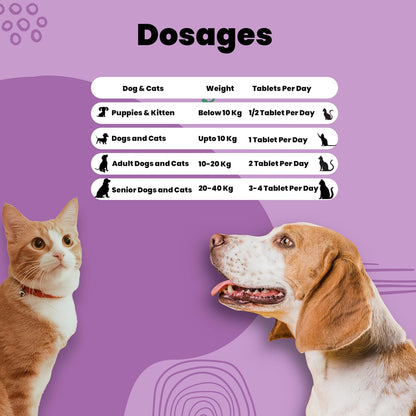 Aniamor Allergy Care Tablet for Dogs and Cats|Skin and Coat|Pets Supplement|All Life Stage|60 Tablets Bottle