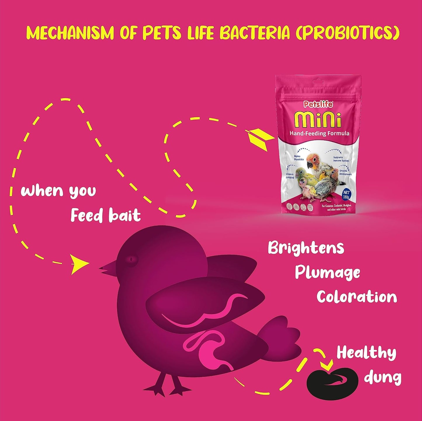 Petslife Mini Hand Feeding Formula for All Baby Birds, 180g | Baby Bird Feeding Formula