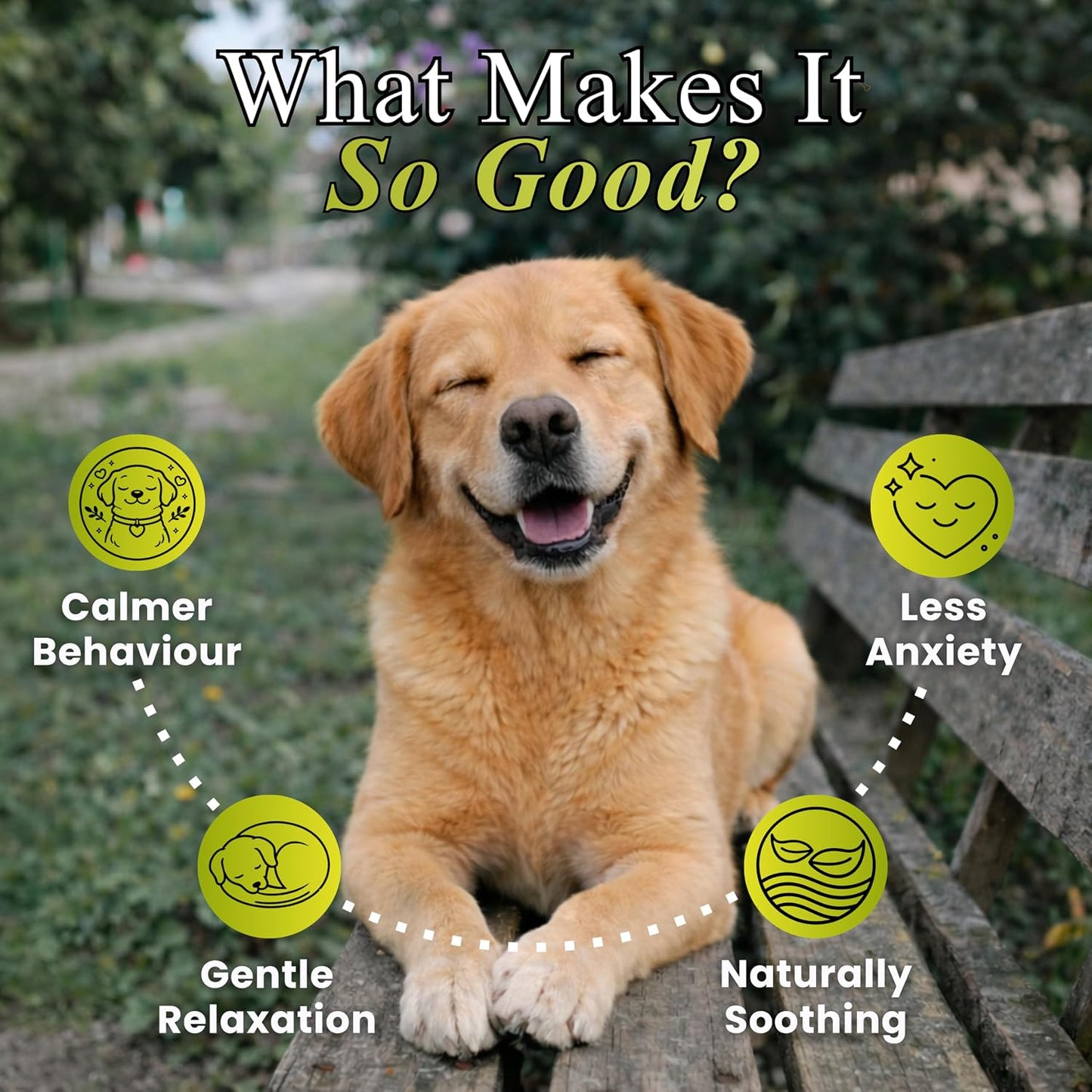 Petroyale Calming Chews for Dogs | Reduces Stress & Aggression in Dogs | Dog Behaviour Management | Non-Drowsy | Anti-Anxiety & Long-Lasting Relief | Suitable for Daily Use | 20 Soft Chews