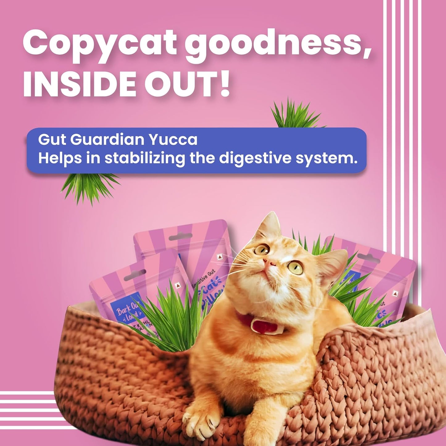 Bark Out Loud Cat Pillow | Crunchy Cat Treats with Fresh Chicken & Dried Krill | Prebiotics, Taurine, Vitamin E, DHA, Omega 3 & 6 | Healthy Cat Snacks for Sensitive Gut & All Life Stages -100gm