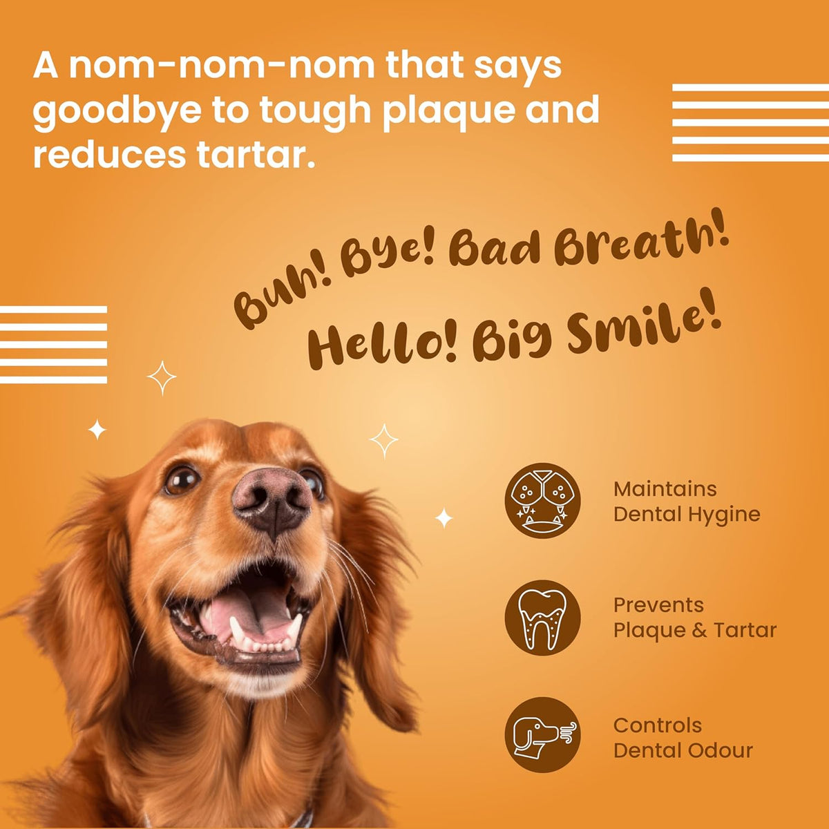 BARK OUT LOUD- Dental Sticks Dog Treats | Sugar Free | Plaque Tartar & Odour Oral Care | Fresh Smell Chicken Dog Treats - 100gm (100 gm, Dental Sticks)