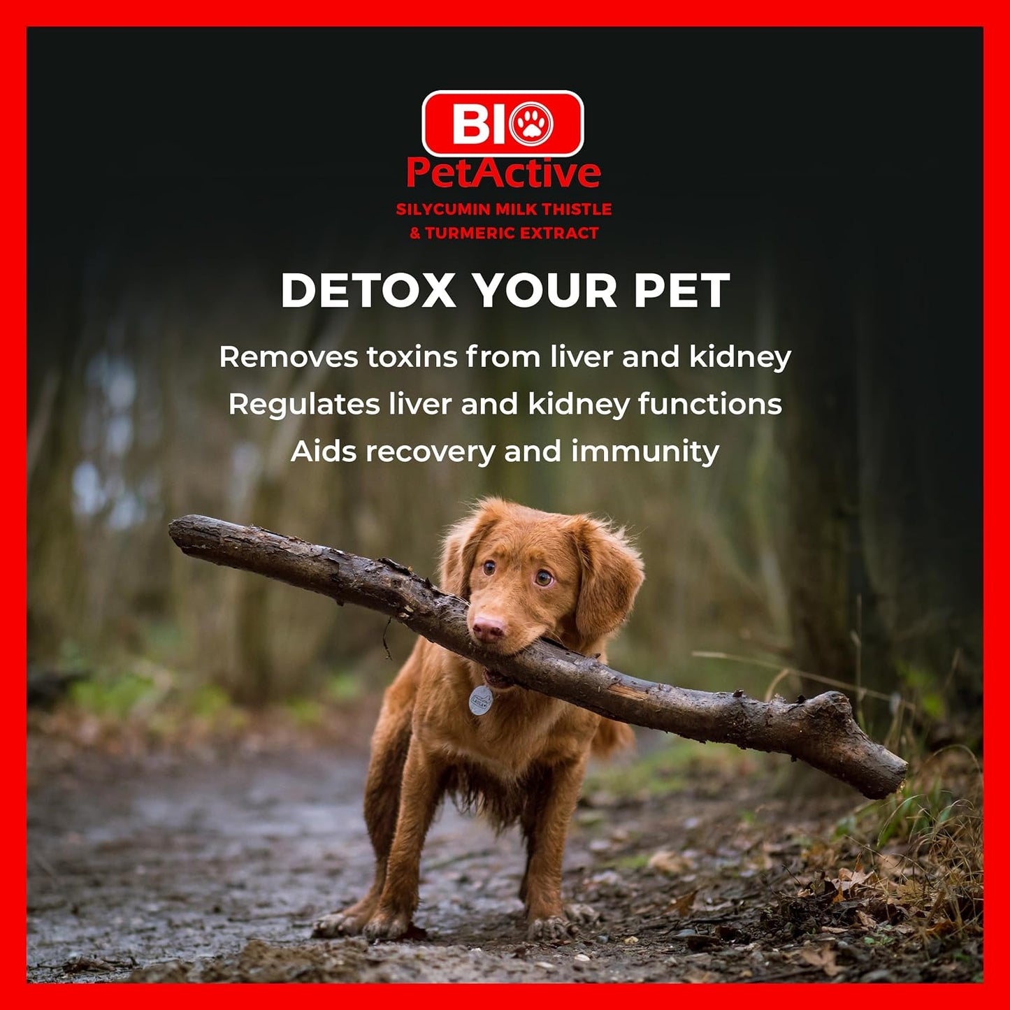 Bio PetActive Silycumin 1,5 g 45 Tablets Milk Thistle & Turmeric Extract Silymarin Curcumin Kidney & Liver Support Suitable for Large Breed Dogs