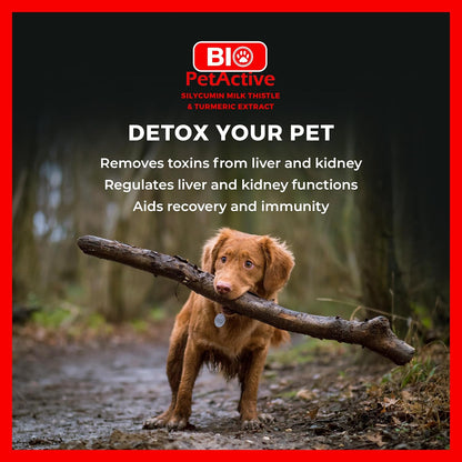 Bio PetActive Silycumin 1,5 g 45 Tablets Milk Thistle & Turmeric Extract Silymarin Curcumin Kidney & Liver Support Suitable for Large Breed Dogs