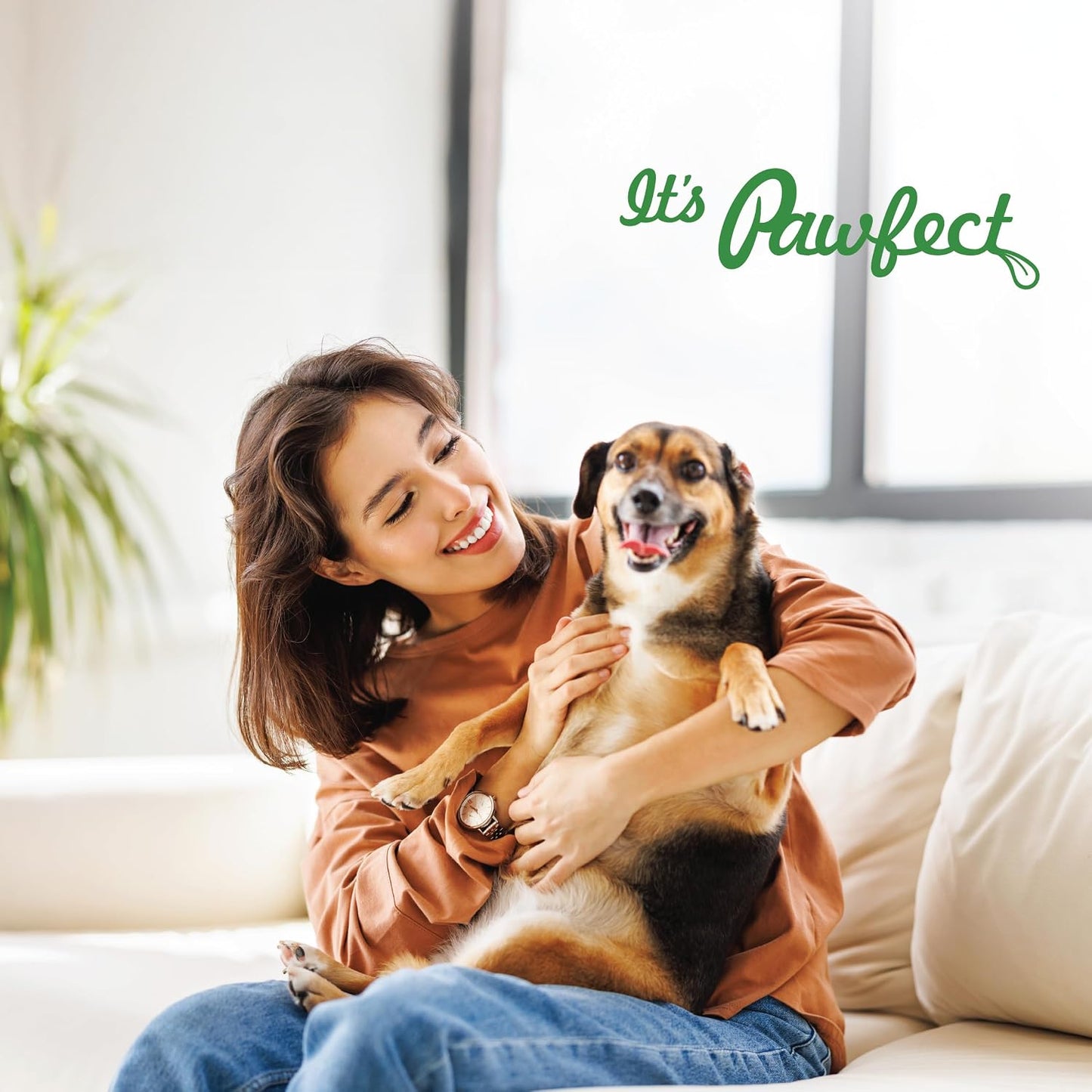 Pawfect Himalayan Cheese Puff Strips for Dogs - 100% Natural Crunchy Treat - High in Protein & Calcium - Healthy Training Treat - Grain-Free - Limited Ingredient Treats for Dogs (70g/2.47oz)