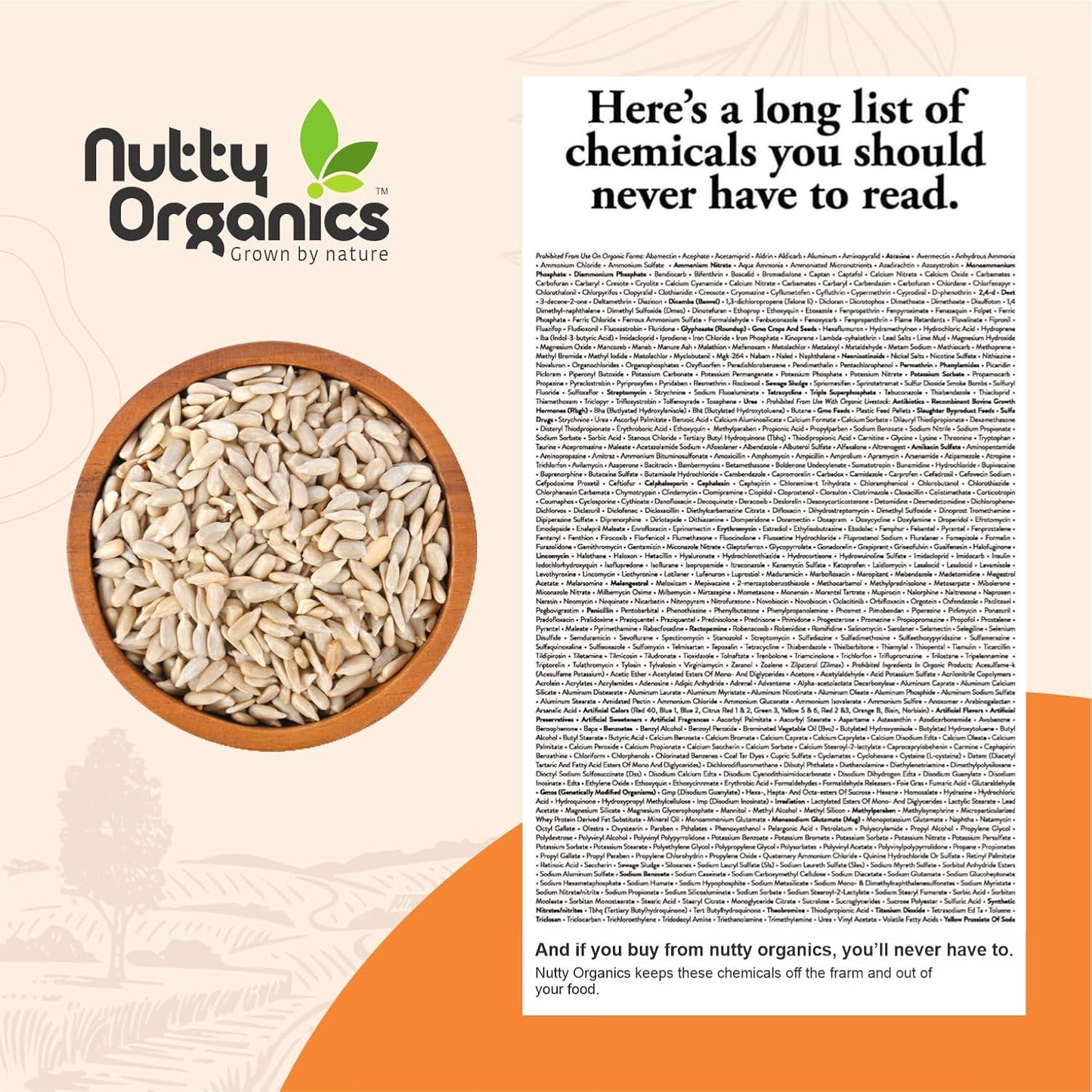 NUTTY ORGANICS Natural Sunflower Seeds 200GM | Raw Sunflower Seeds for Eating- Diet Food | Healthy Snack | Raw Seeds | Weight Management