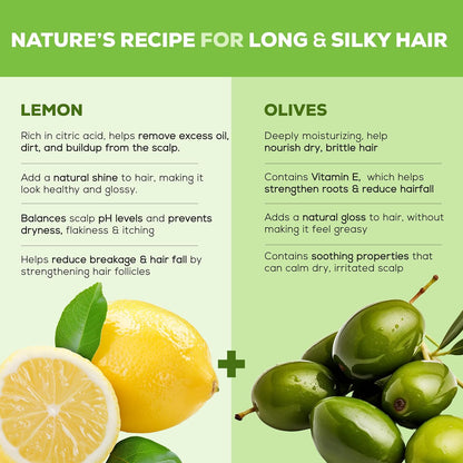 Joy Hair Fruits Hair Dryness Control Conditioning Shampoo Enriched with Lemon & Olives, 340 ml