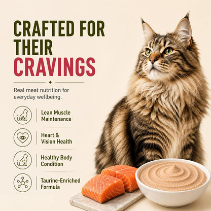 Grain Zero Adult Cat Wet Mousse 80gm | Salmon | Rich in Protein, Promotes Hydration & Easy to Digest | Grain Free, No Artificial Flavours | Packed with Essential Vitamins & Antioxidants