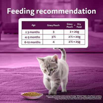 Whiskas Junior Kitten (2-12 Months) Wet Cat Food, Chicken in Gravy, 80 g (Pack of 14), Hydrating Food Made With Real Chicken, 100% Complete & Balanced Nutrition for Kittens