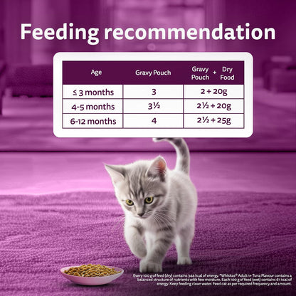 Whiskas Junior Kitten (2-12 Months) Wet Cat Food, Chicken in Gravy, 80 g Hydrating Food Made With Real Chicken, 100% Complete & Balanced Nutrition for Kittens