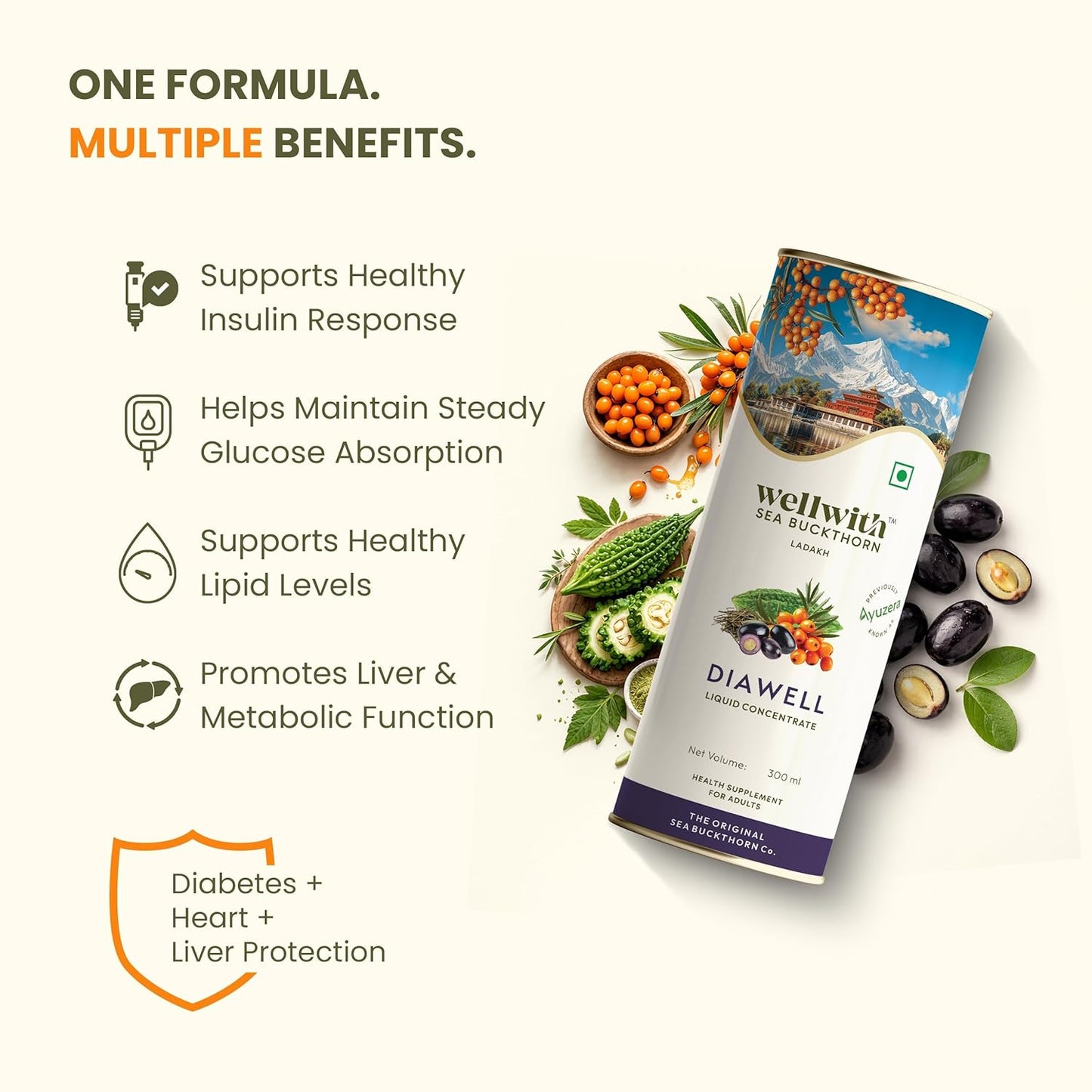 Wellwith (Ayuzera) DiaboWin (Diawell) Seabuckthorn Pulp With Karela & Jamun Diabetic Care Juice 300ml | Chirata and Punarnava | Ayurvedic | Makes Upto 50 Glass Juice (300ml, Pack of 1)
