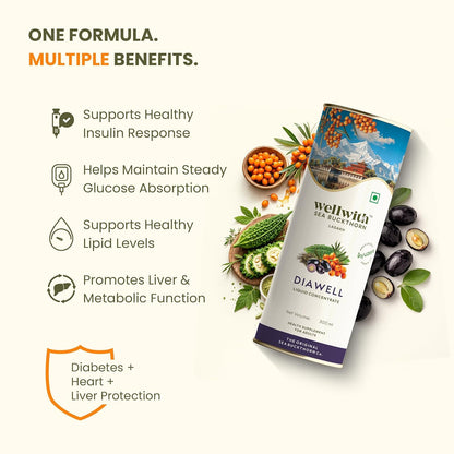 Wellwith (Ayuzera) DiaboWin (Diawell) Seabuckthorn Pulp With Karela & Jamun Diabetic Care Juice 300ml | Chirata and Punarnava | Ayurvedic | Makes Upto 50 Glass Juice (300ml, Pack of 1)