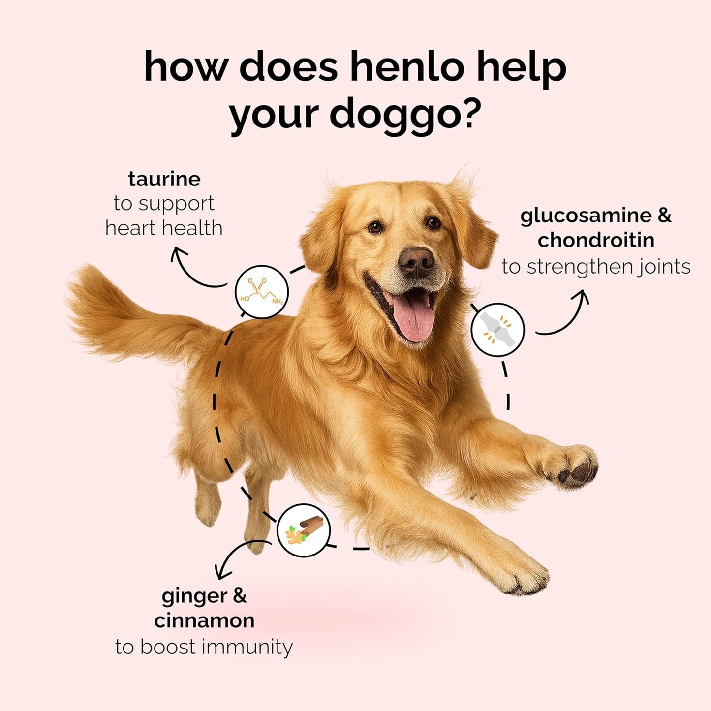 Henlo Baked Chicken & Liver Dry Dog Food | 100% Human Grade Ingredients | 800G | Dry Food for Adult Dogs & Puppies