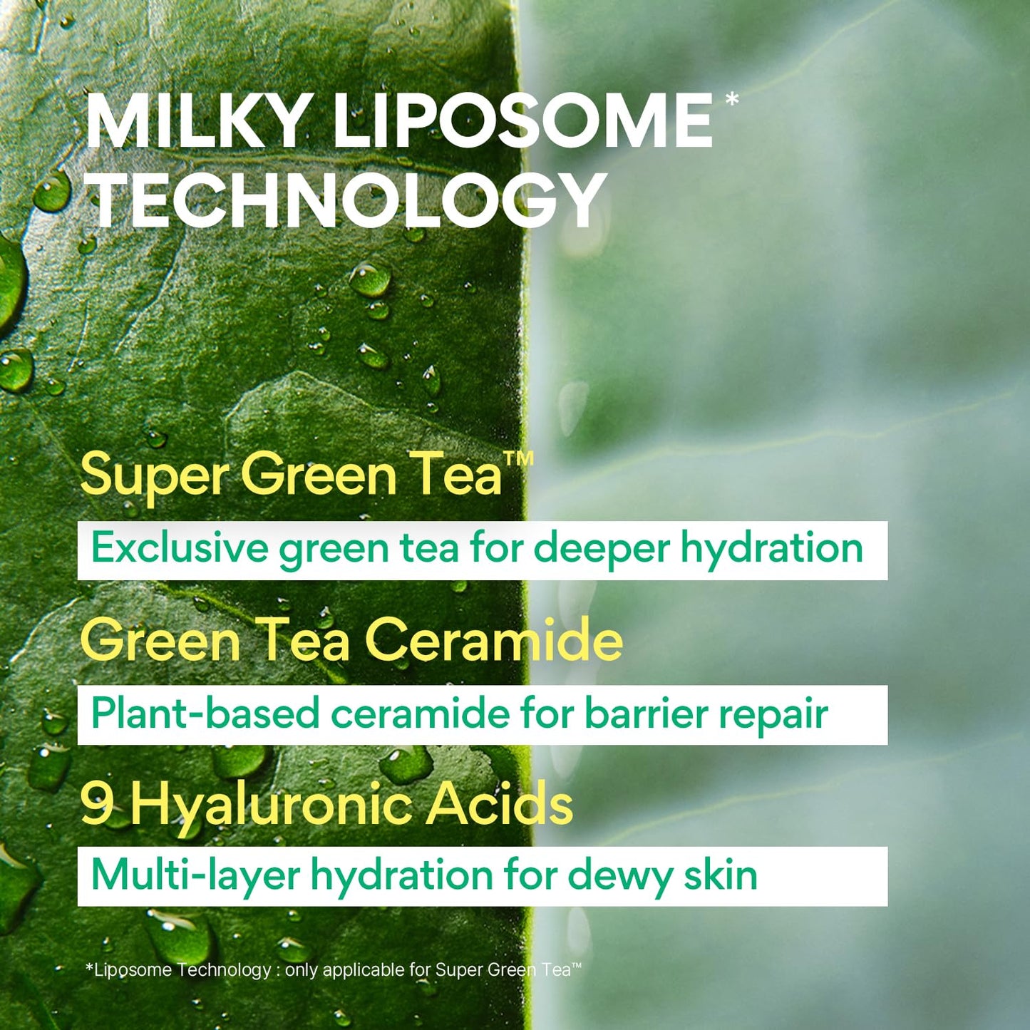 Innisfree Green Tea Ceramide Milk and Seed Skin- Toner