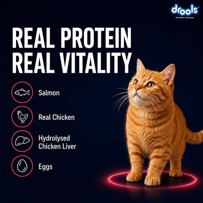 Drools Adult Cat Wet Mousse 80g Pack of 5, 400g | Salmon Flavour | Rich in Protein | Promotes Hydration & Easy to Digest | No Artificial Flavours | Packed with Essential Vitamins & Antioxidants