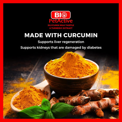 Bio PetActive Silycumin 1,5 g 45 Tablets Milk Thistle & Turmeric Extract Silymarin Curcumin Kidney & Liver Support Suitable for Large Breed Dogs